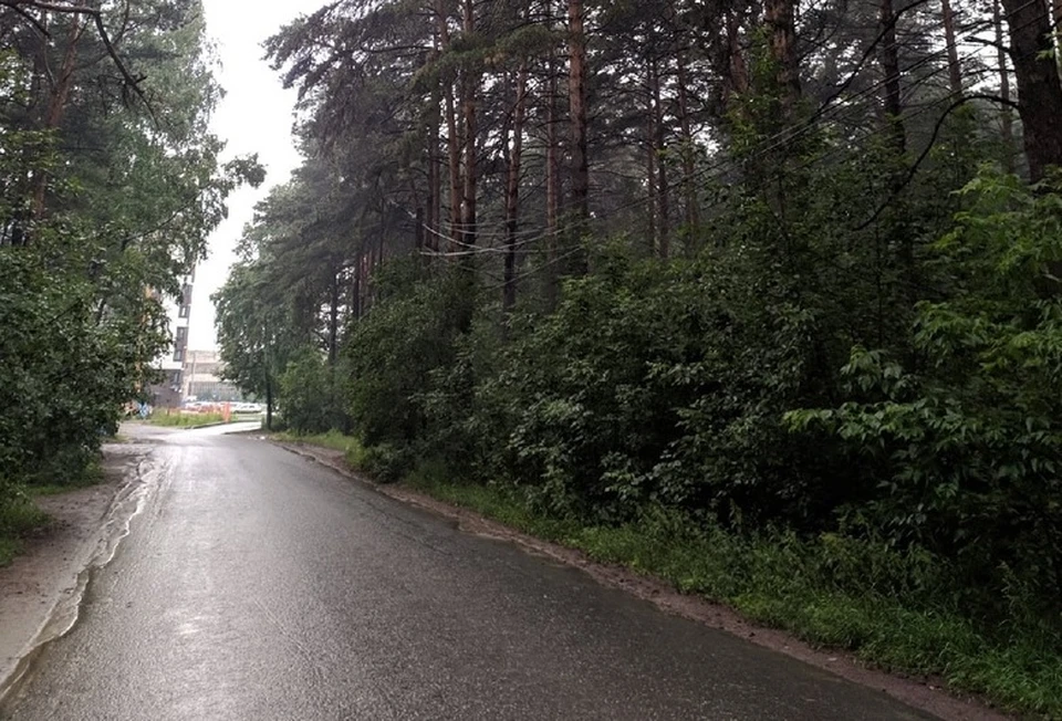 На Мысу в Тюмени установят шестиметровые качели и мангальные зоны.