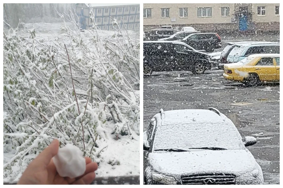 В крае выпал снег. Снег летом. Снегопад в Красноярском крае. Снегопад летом. Выпал снег.