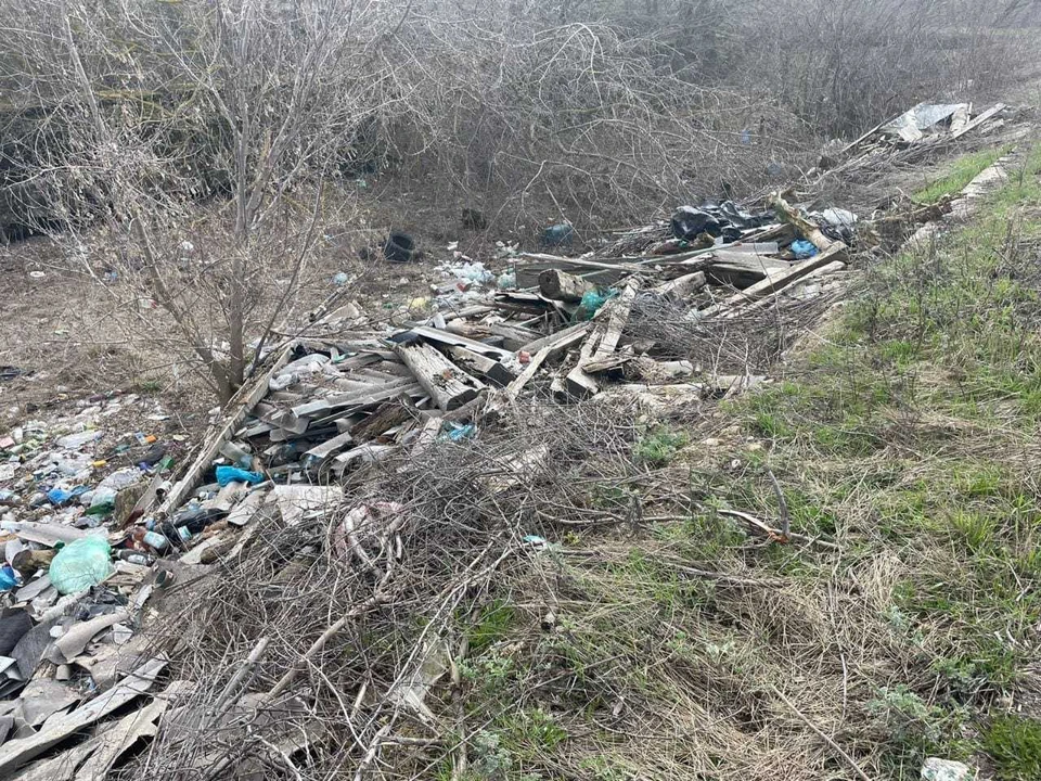 В Тульской области после вмешательства прокуратуры ликвидировали стихийную свалку