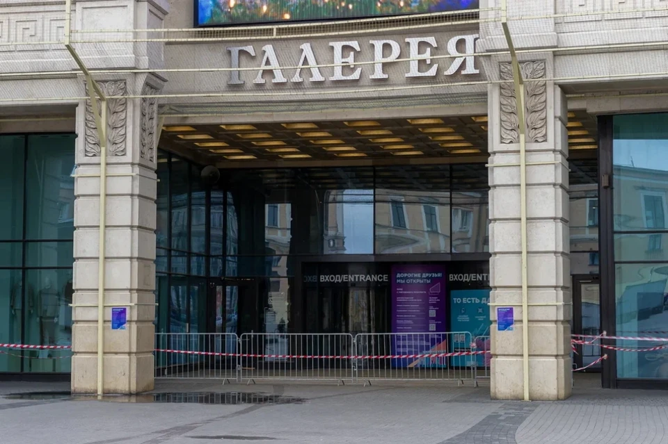 Массовая драка посетителей и охранников произошла в ТРК "Галерея" в Петербурге.