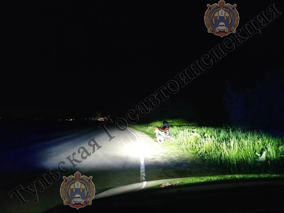 В Тульской области 31-летний мотоциклист вылетел с дороги и опрокинулся