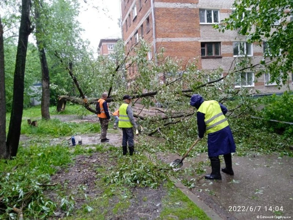 Фото: Администрация Перми