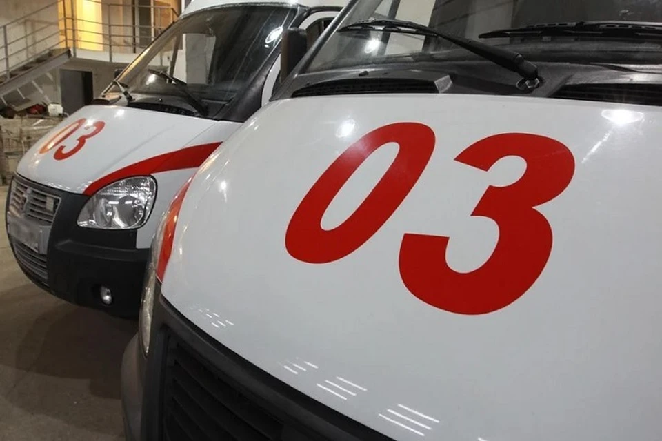 В 27 случаях причины гибели установить не смогли