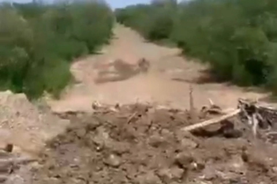 На Диком пляже в Одессе. On Wild beach in Odessa. - video Dailymotion