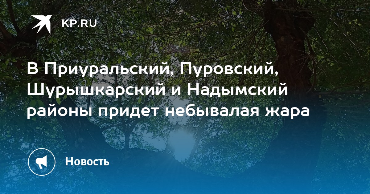 Фото Приуральского Района