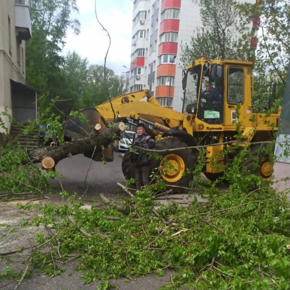 Городские службы Москвы работают в усиленном режиме в праздничные выходные.