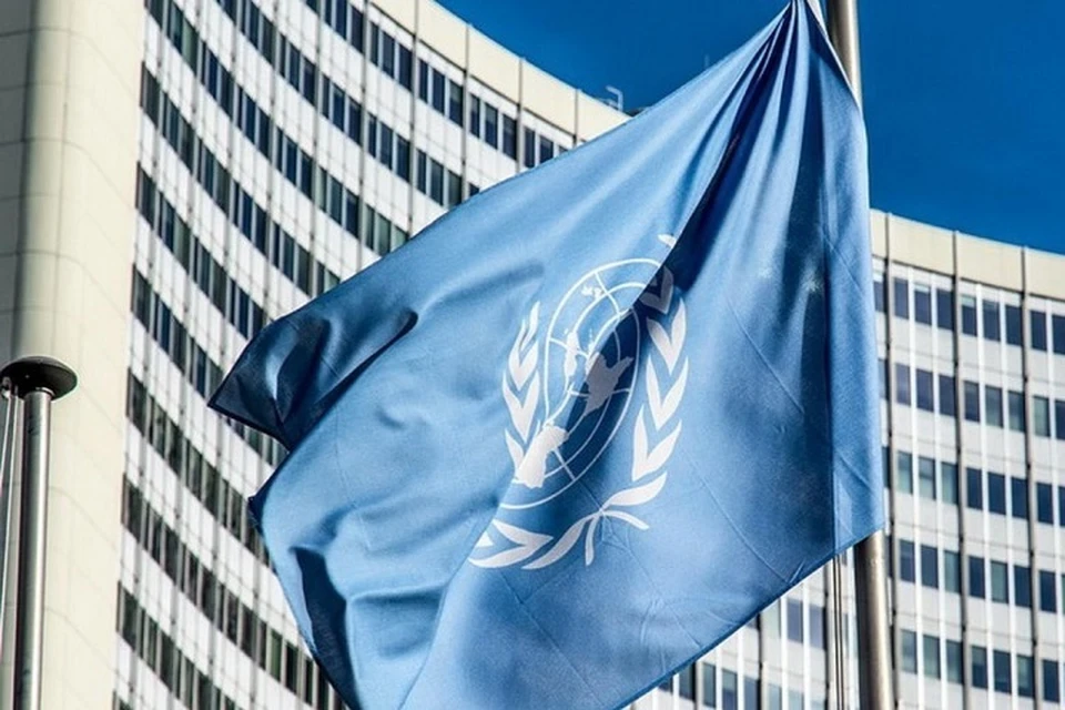 Вот о чем белорусская дипломат попросила ООН из-за санкций Запада против Беларуси. Фото: pixabay.com