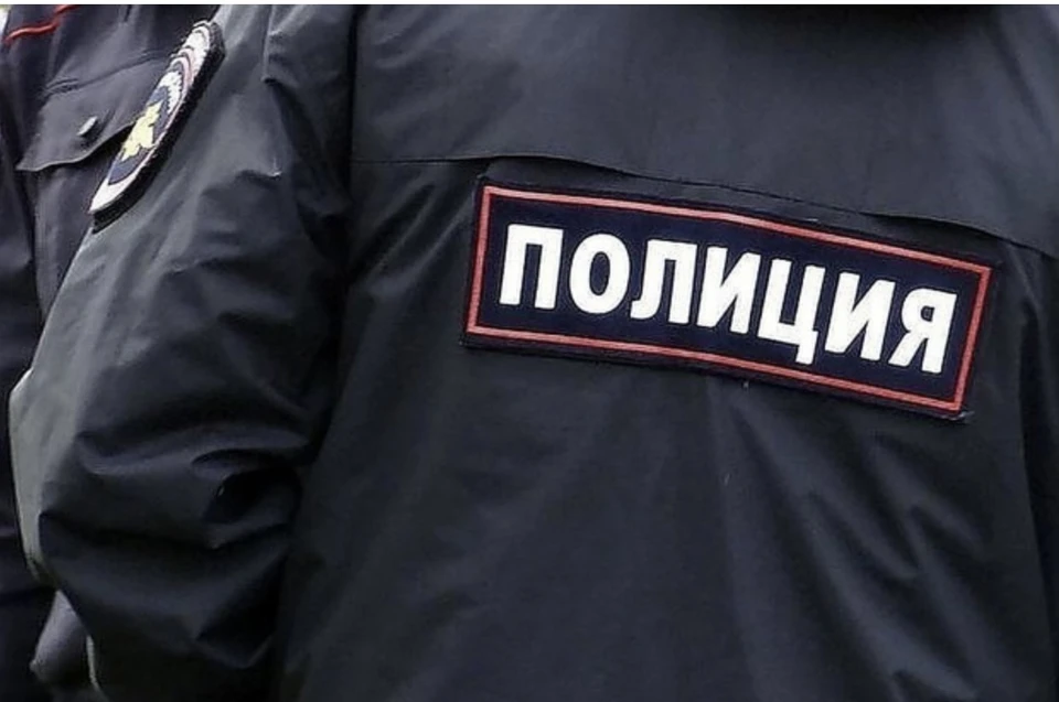 Полицейские быстро розыскали воришку.