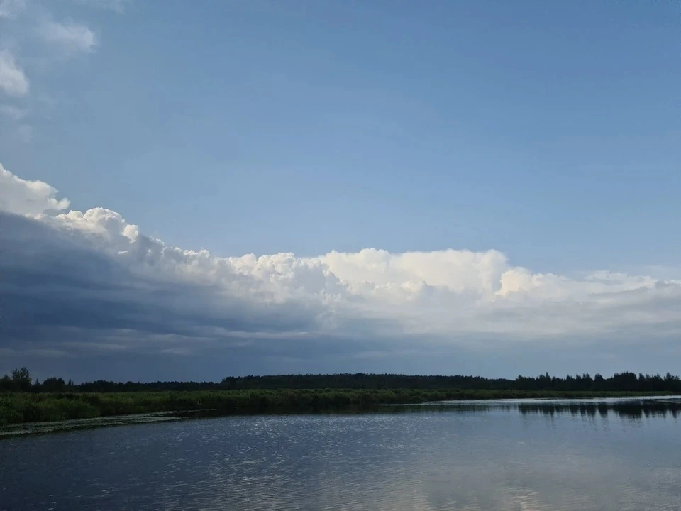 В Приуральском районе ЯНАО двое мужчин погибли в реке Надияха, перевернувшись на самодельной лодке. Фото: СК РФ по Тюменской области