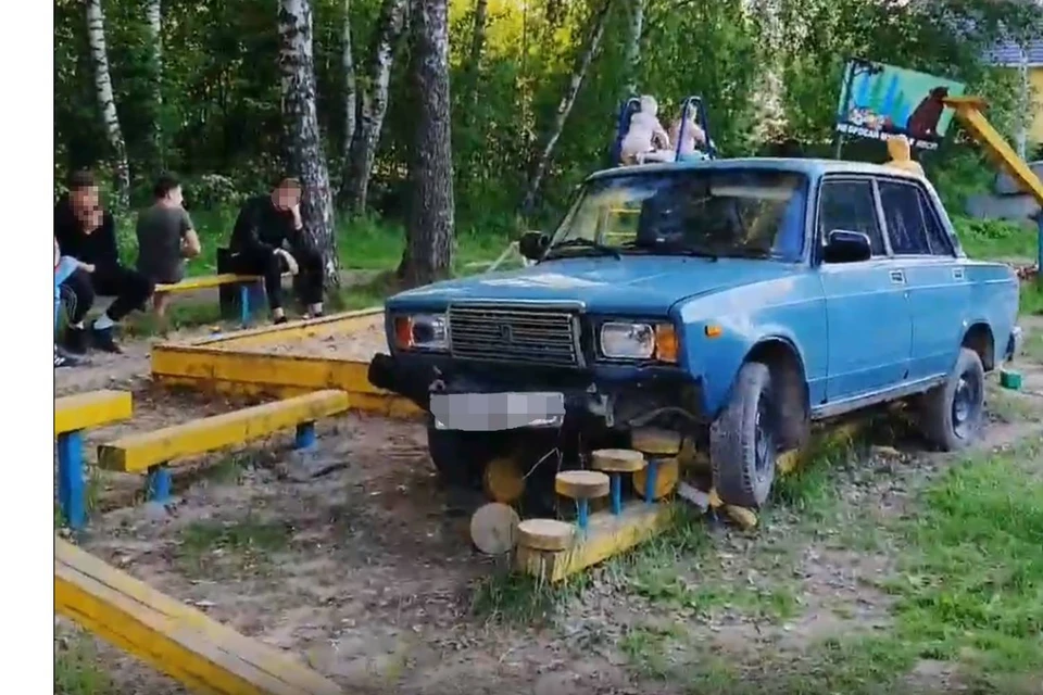 Дело происходило вечером 18 июня. Фото: скрин из видео. Источник: паблик "Загородная Мама".
