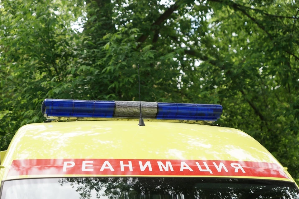 Житель поселка Шаля был приговорен к 1 году и 2 месяцам заключения