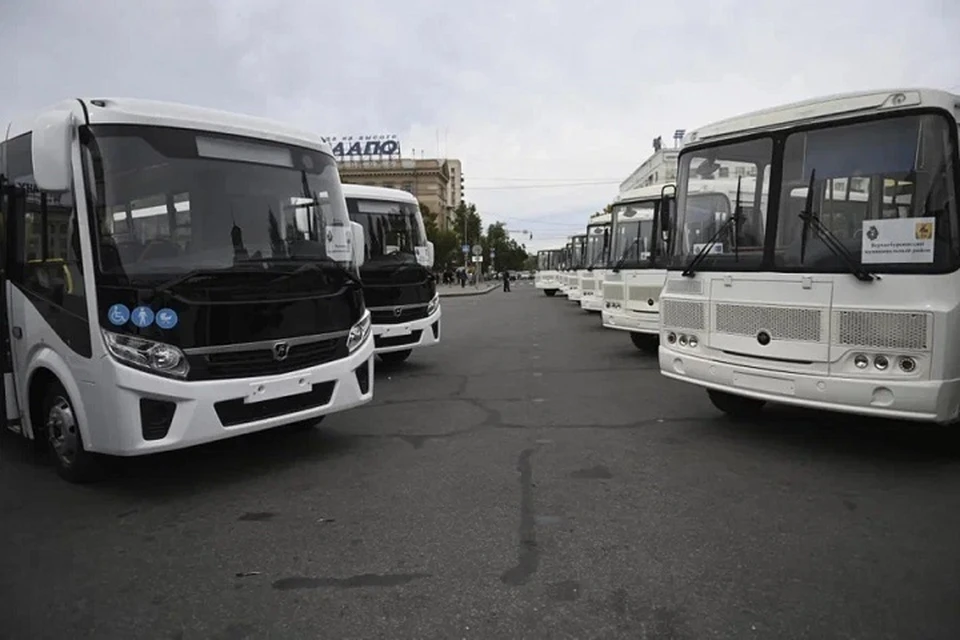 Для шести муниципальных районов Хабаровского края в рамках нацпроекта были закуплены 13 автобусов