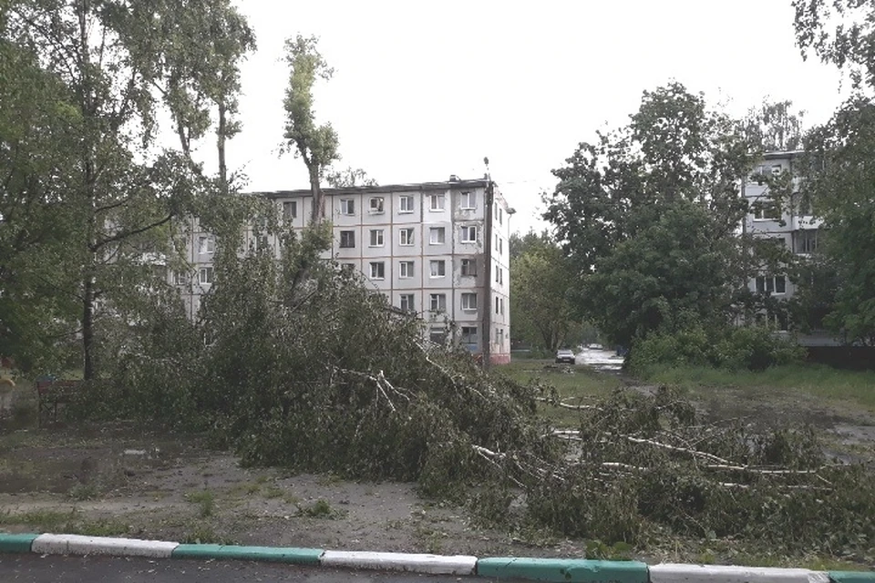 Фото: Надежда ПЕТРУНИНА.