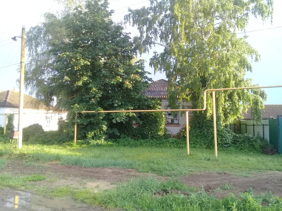 Если вы заметили возгорание сухой травянистой растительности, не оставайтесь равнодушными. Попробуйте самостоятельно потушить его.