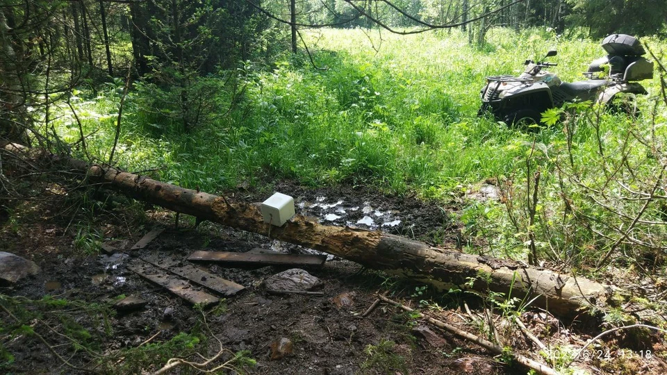 Напоминает раздачу в столовой. Фото: Зигальга News / telegram