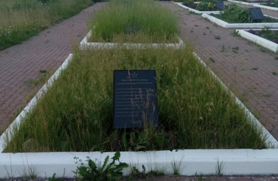 Смоляне пожаловались на заросшие братские могилы в Кардымовском районе. Фото: «Подслушано Смоленск» в соцсетях.