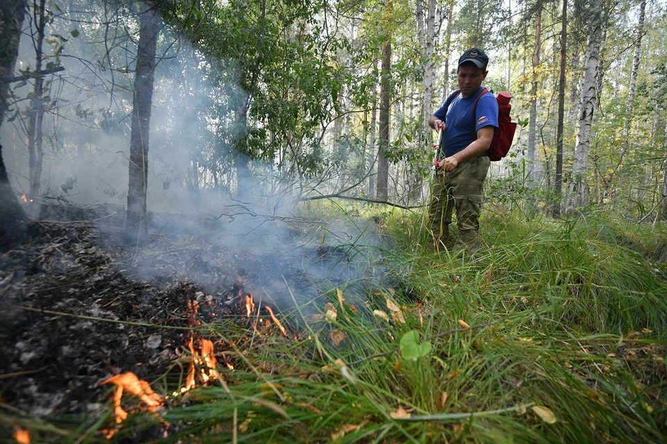 Пятый класс пожароопасности объявлен в Ростовской области в связи с установившейся жаркой погодой.