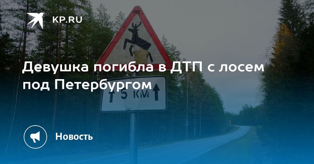 Испуганная лосем настенька изумленно смотрела на змею. Лось пробежал Углич.