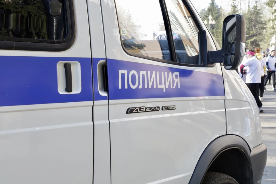 Томского пенсионера обвиняют в убийстве породистого соседского кота.