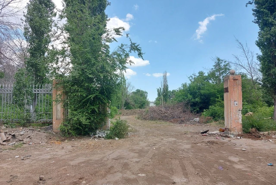 В старый парк вдохнут новую жизнь.