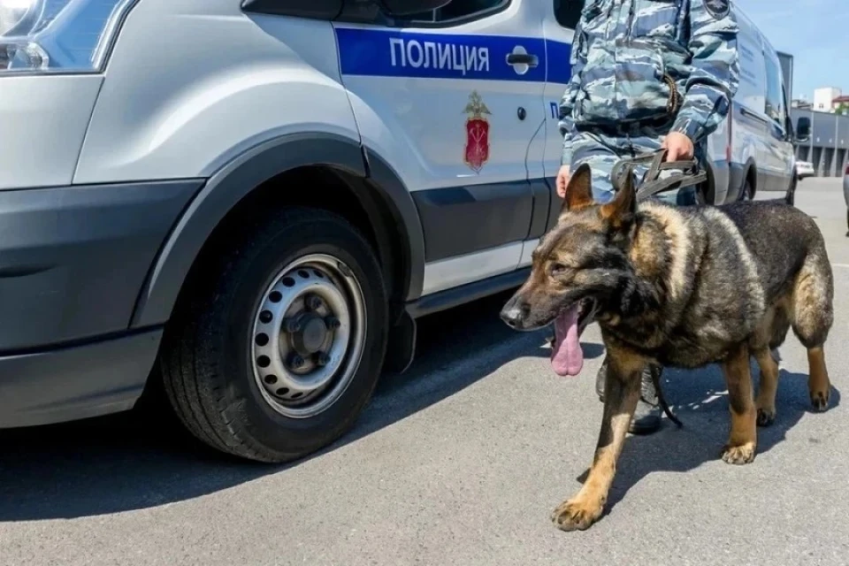 В Петербурге ищут пропавшего с 7 июля 12-летнего мальчика