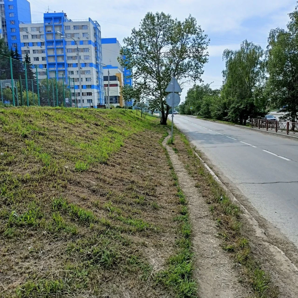 Ход благоустройства в Солнечном проверил депутат Алексей Вепрев и председатель комитета городского обустройства Роман Орноев.