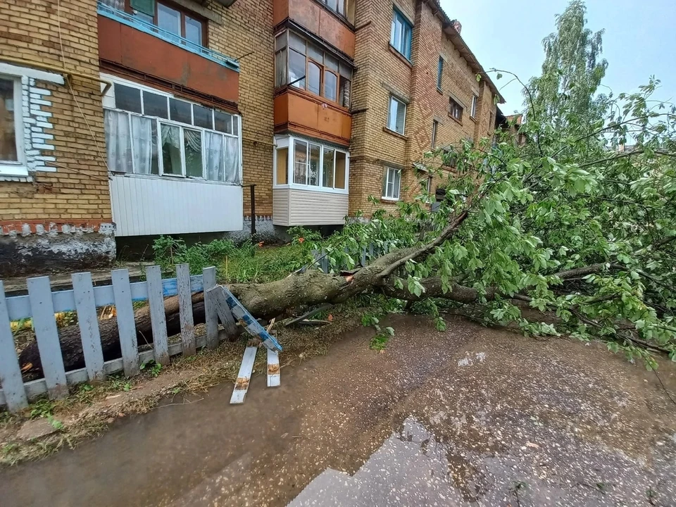 Фото: Информационная программа "День"