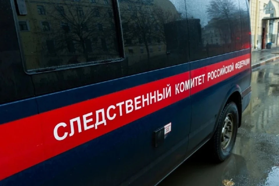 Сбитая грузовым поездом под Новосибирском девушка была пьяна.