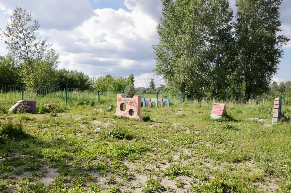 В Томске в 2023 году появятся две новые площадки для выгула собак