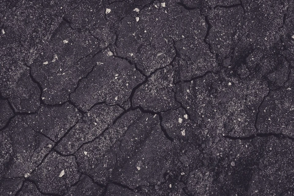 Фото: pexels.com