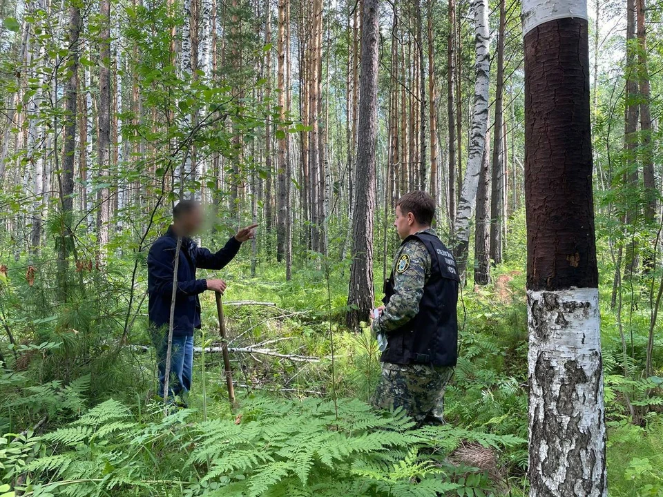 Фото: ГСУ СК по Красноярскому краю
