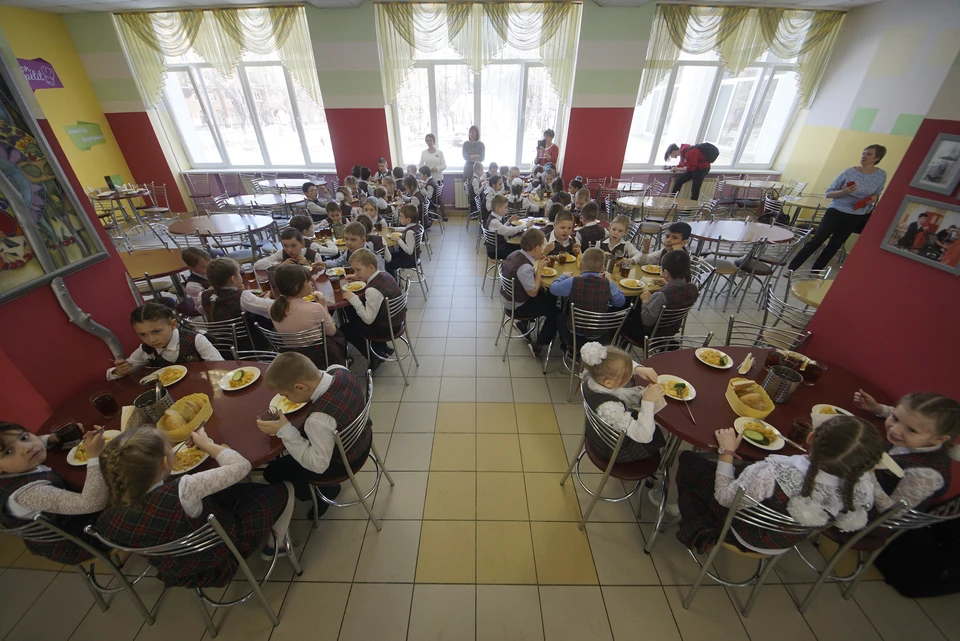 В Краснодарском крае разработают единые стандарты организации детского питания в школах