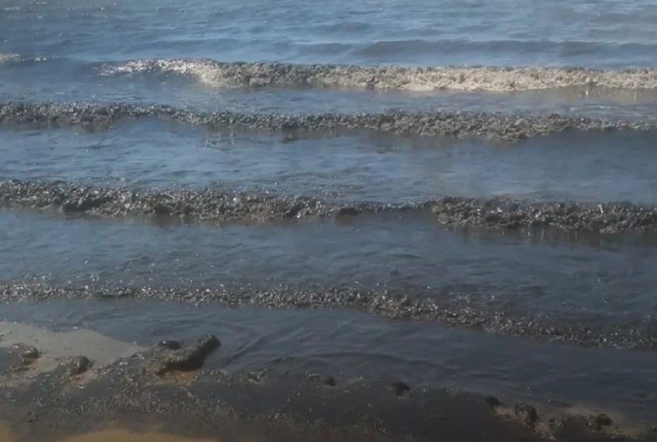 Эколог назвал причину почерневшего моря у берегов Анапы. Фото: скриншот видео
