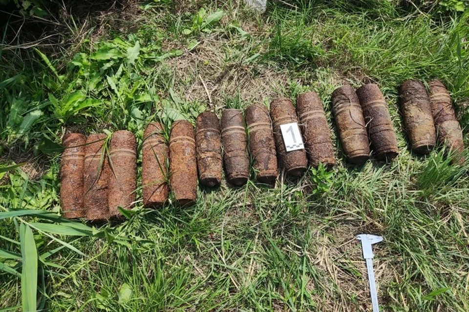 Снаряды были обнаружены жителем поселка Энем Тахтамукайского района. Фото: пресс-служба Росгвардии Адыгеи