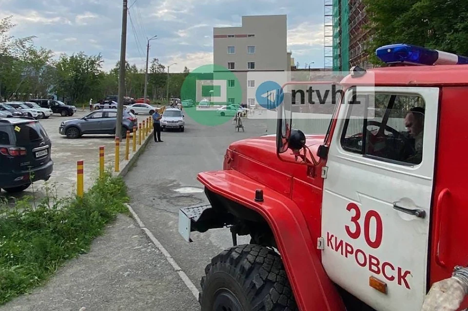 Немецкая овчарка сейчас ищет бомбу или взрывное устройство. Фото: vk.com/narodnoetvx
