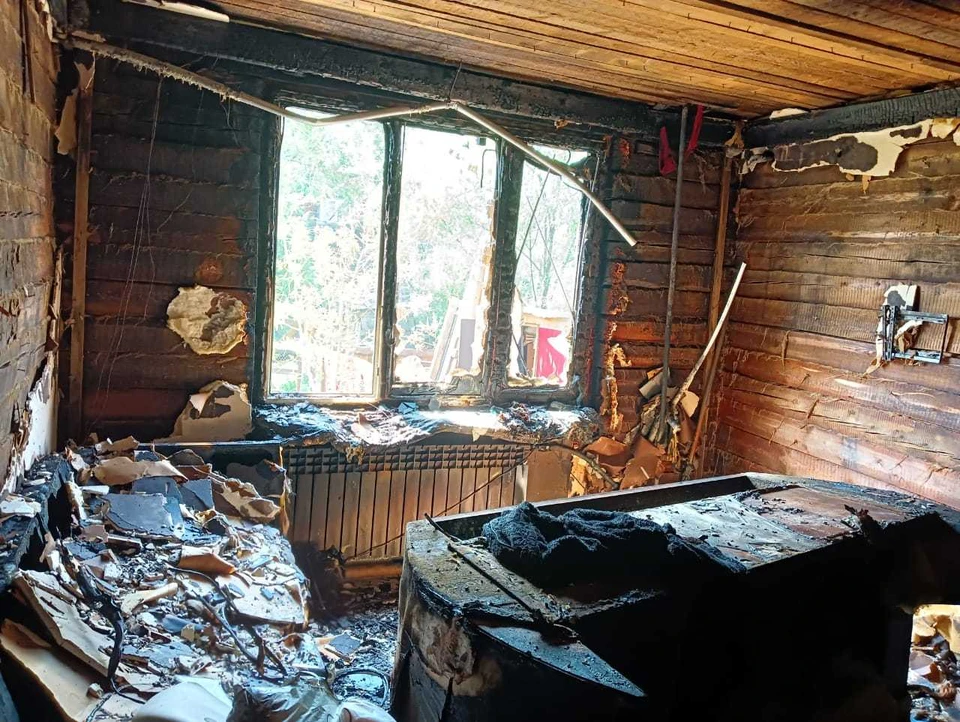 Фото предоставлено Светланой Дмитриевой