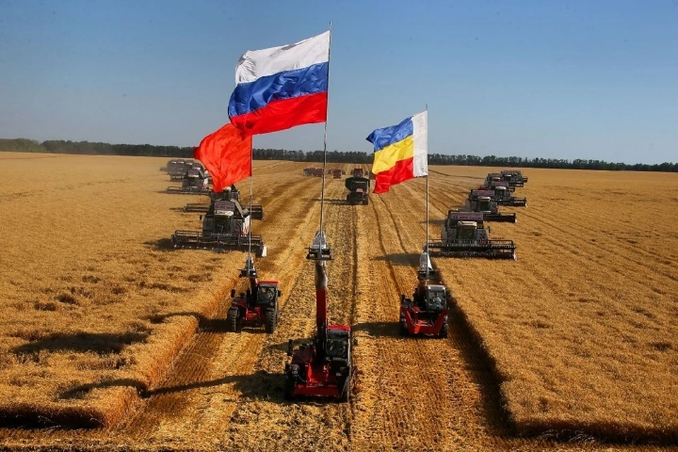 Техника под знаменами Победы, России и донского региона прошла по пшеничному полю. Фото: сайт правительства РО