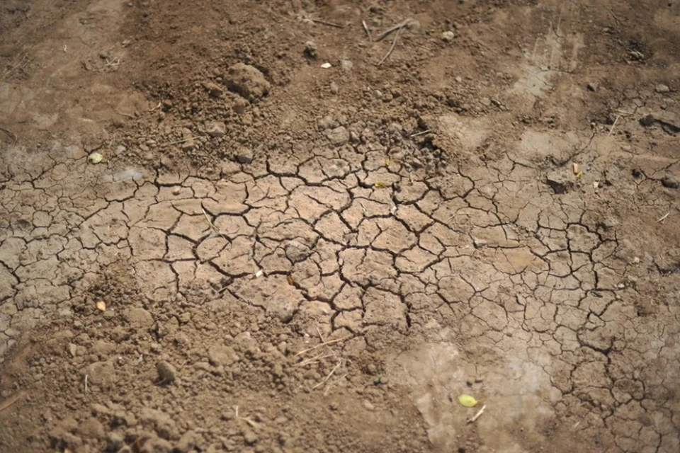 Ранее эксперты сообщили, что опустынивание грозит восточным районам Ростовской области.