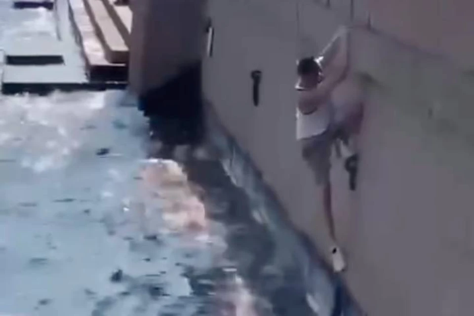 Мужчина спас котенка из Невы, спустившись по трехметровой стене набережной