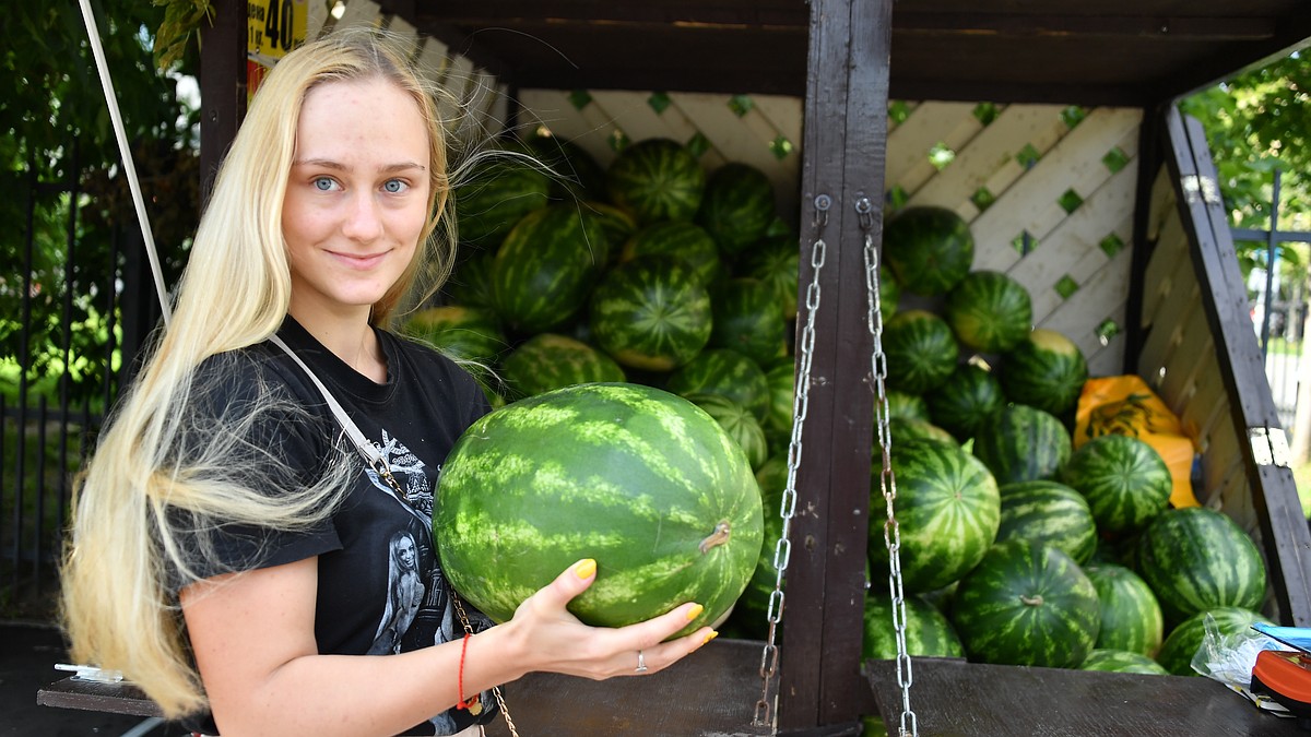 С поля забирают по 7 рублей за кило, продают по 35. Как меняется стоимость  бахчевых по дороге до рынков Петербурга - KP.RU