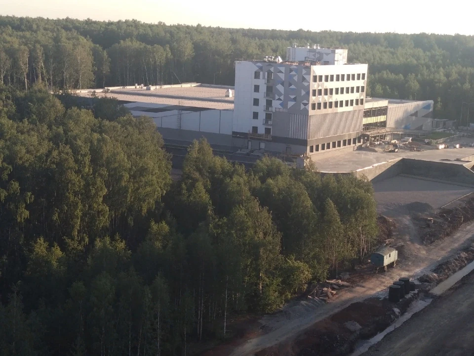Фото: Спасем наш лес вместе / ВКонтакте