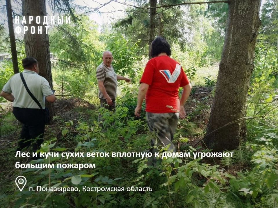 Фото: региональное отделение ОНФ