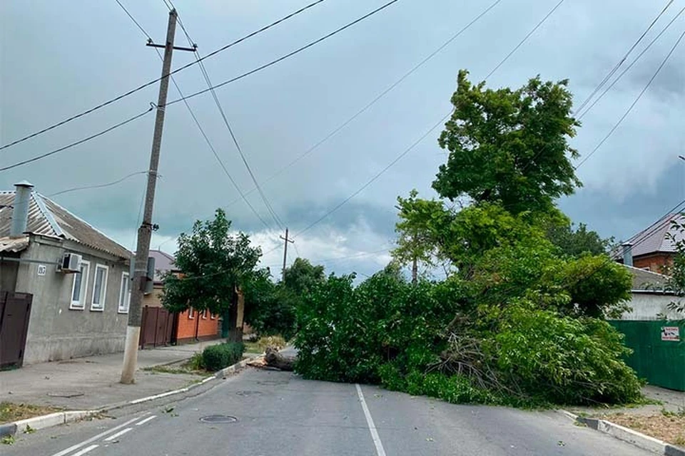 Ураганный ветер валит деревья в Ейске.