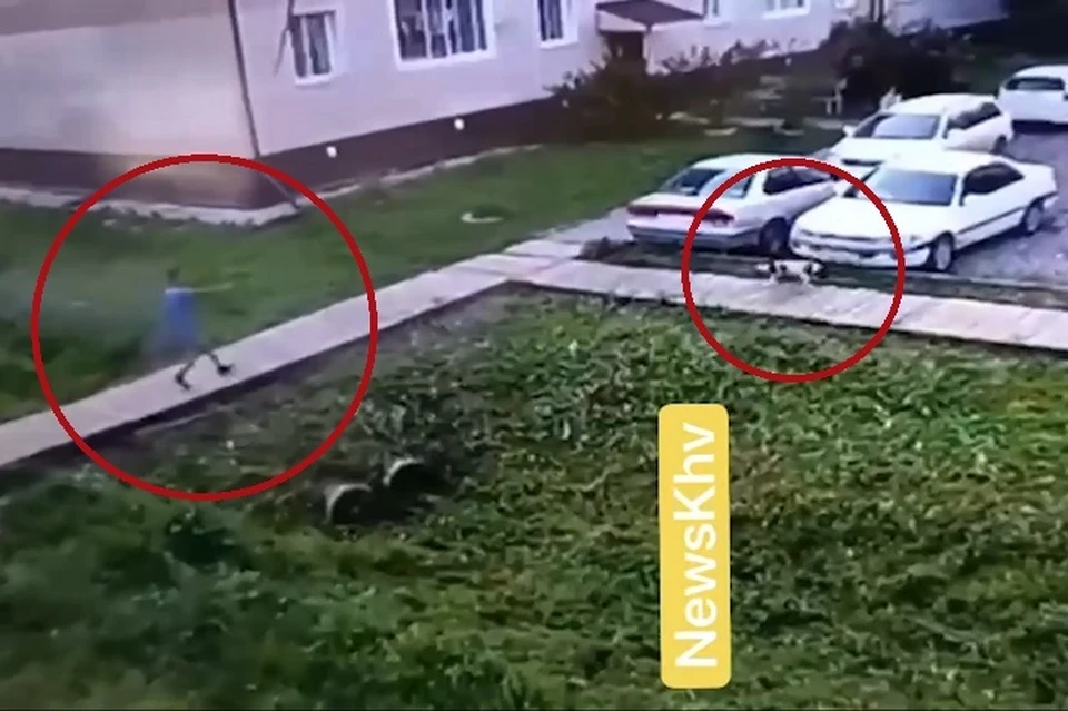 Ребенок угрожал собаке во дворе у дома Фото: скриншот из видео
