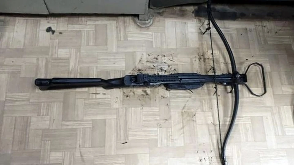В Тульской области осудили арбалетчика, стрелявшего снарядами с наркотиками по колонии в Донском