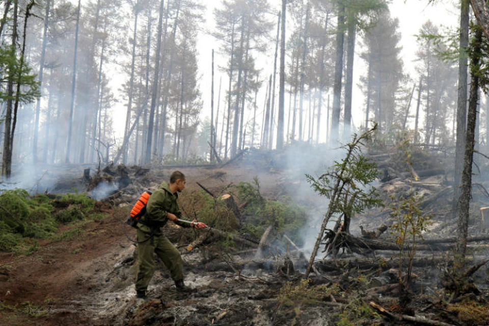 До 21 августа ярославцам запрещено ходить в лес