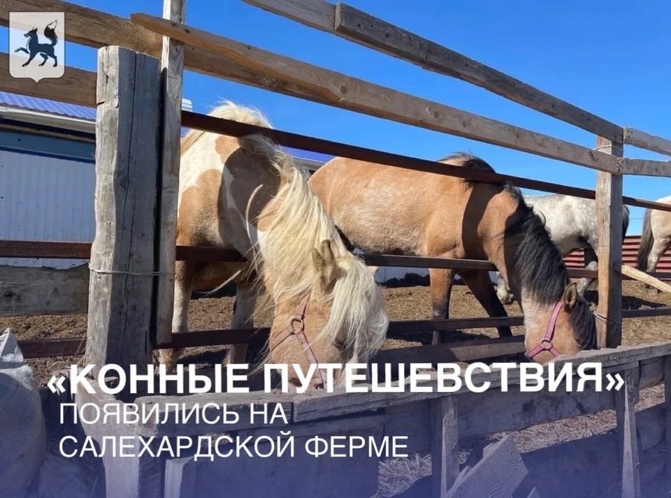 Фото: администрация Салехарда