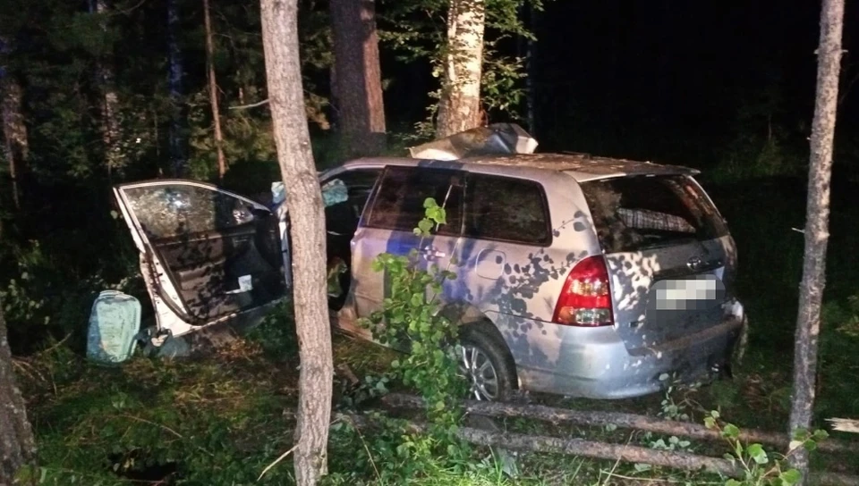 В Томске на трассе Toyota насмерть сбила лося.