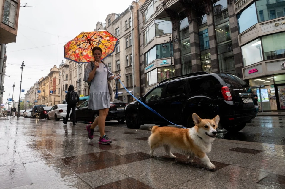 В воскресенье, 7 августа, в Петербурге похолодает до +21 градуса, и пройдут небольшие дожди.