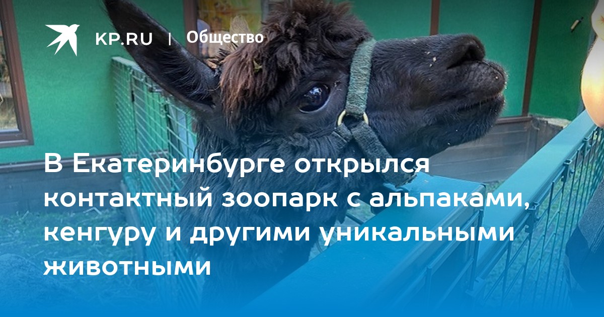 Контактный зоопарк екатеринбург уктус